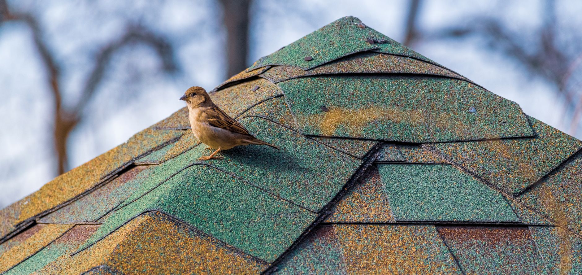 Metal Roofing – Poteet